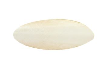 OSSO SEPPIA 1PZ BLISTER