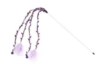 CANNA STUZZICAMICIO SHANTI DISPLAY 9PZ