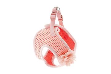 PETTORINA BREEZE FIORE XS 34-41CM