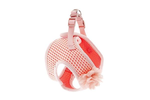 PETTORINA BREEZE FIORE S 38-45CM