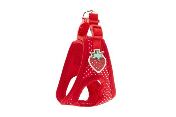 PETTORINA POIS FRAGOLA S 32-39CM