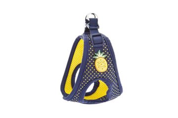 HARNAIS POIS ANANAS XS 28-34CM