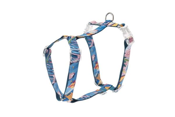 ARNES EN H MOTIF ST. TROPEZ XS 20-30CM -