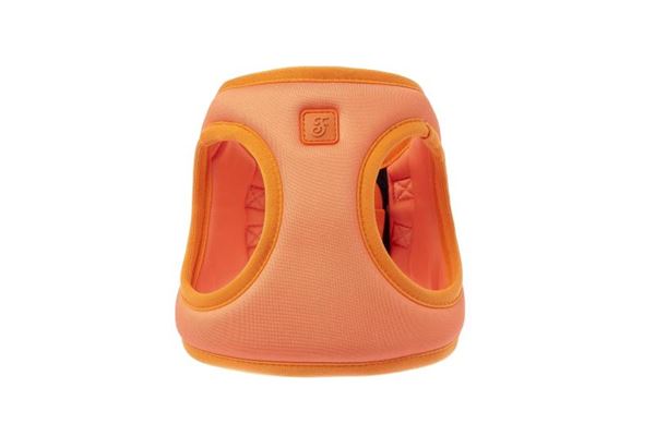 PETT. SUPREMA COMFORT S 38-41CM TANGERIN