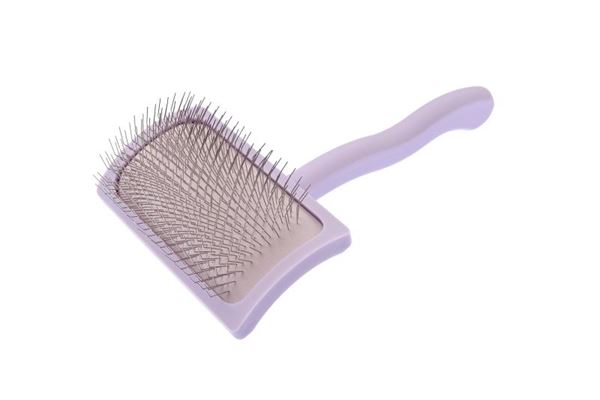 BRUSH WAW DAILY HARD S